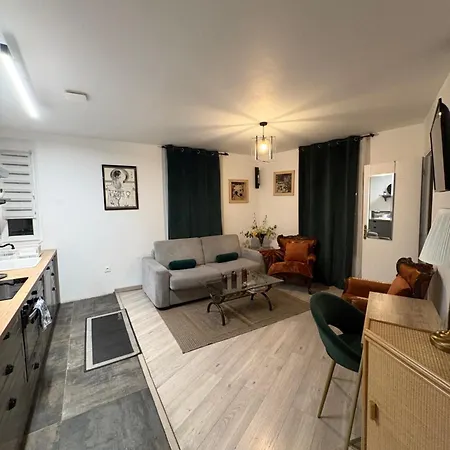Cosy T2 Proche Paris Appartement